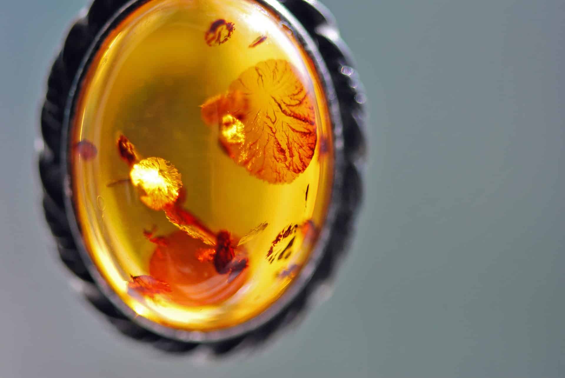 pendantif d'ambre préhistorique montrant ses inclusions sur fond neutre pour illustrer les bijoux en ambre