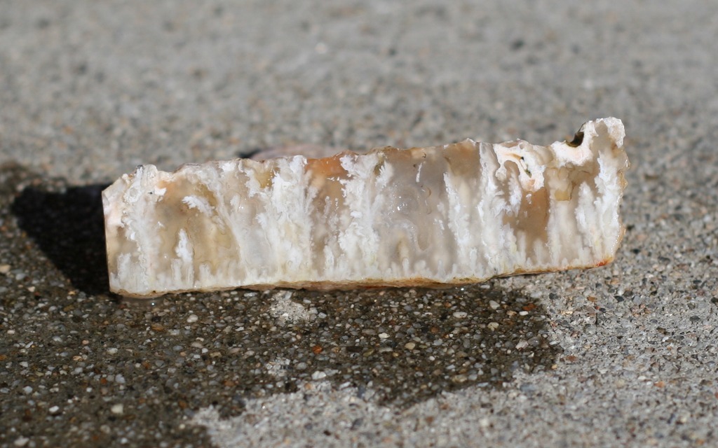 pierre d'agate plume blanche et translucide montrant ses inclusions en forme de plume 