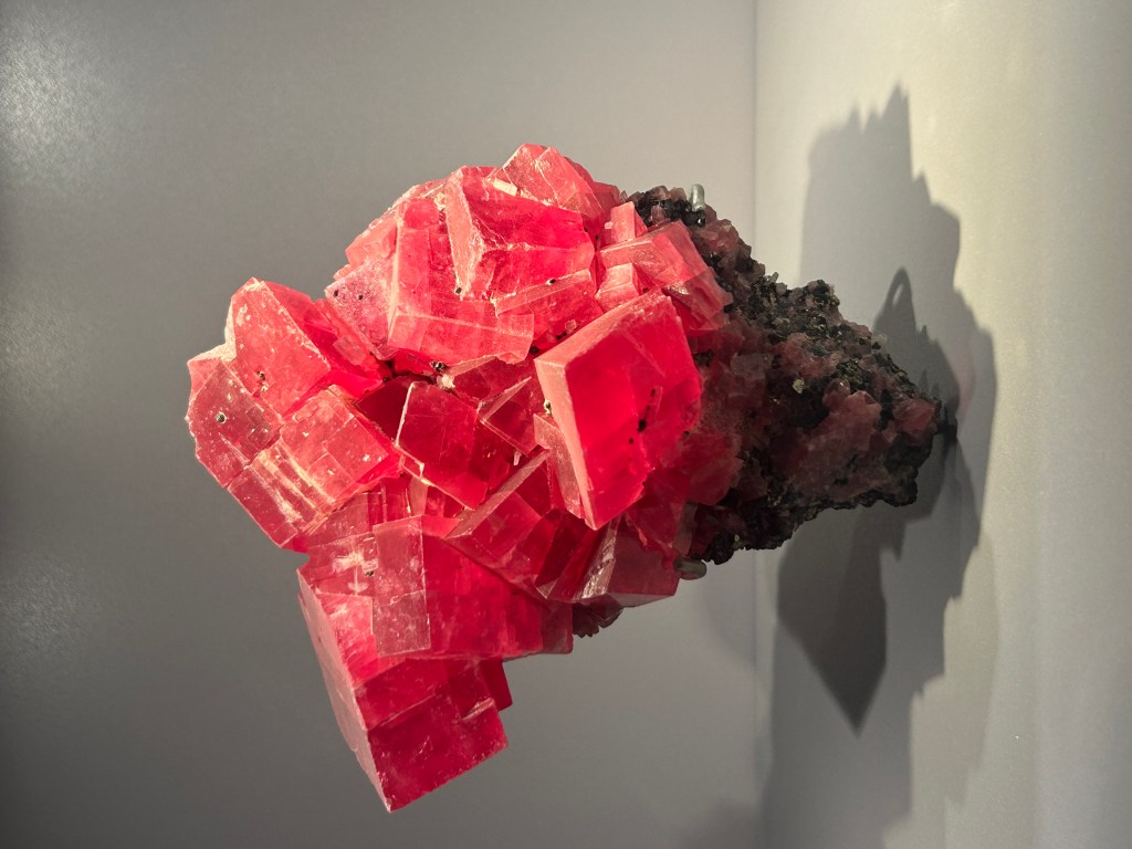 bloc de cristaux de rhodochrosite rosé-rouge montrant des formes ordonnées faites de lignes droites et d'angles qui montrent une structure cristalline. Sa couleur est transparente à translucide et elle est sur un morceau de roche. exposé au musée