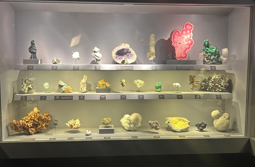 Vitrine du musée montrant une trentaine de pierres différentes de toutes les couleurs, dont la tranche de rhodochrosite. Exposé au musée.